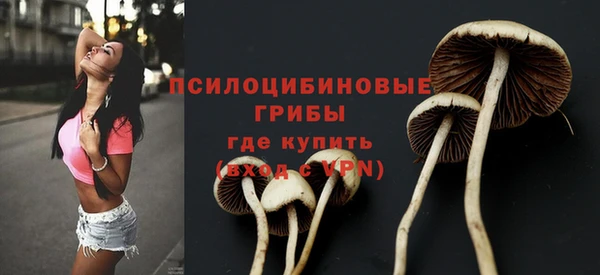 spice Алексин