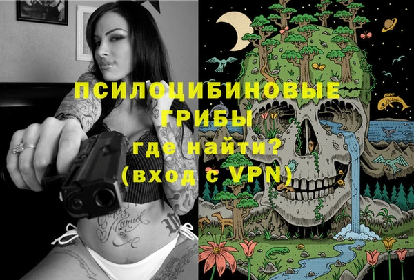 скорость Алзамай