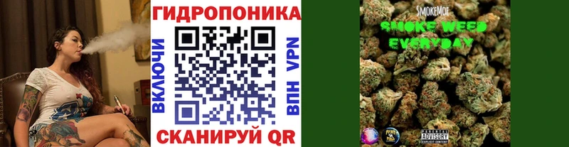 Конопля LSD WEED  магазин  наркотиков  MEGA tor  Ардатов 